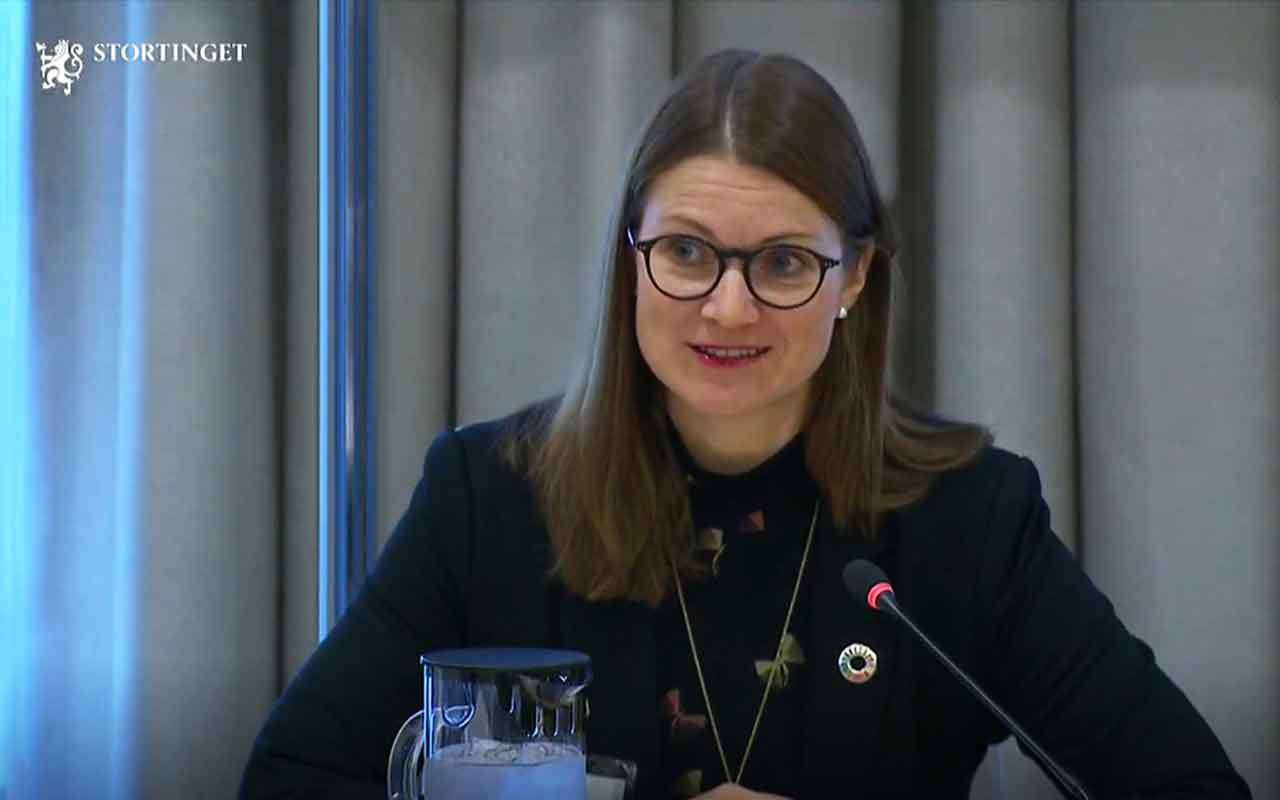 Christine Lundberg Larsen under høring hos Finanskomiteen på Stotinget