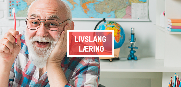 L&aelig;ring_tema_Overskudd2022.png